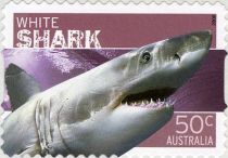 Great White Shark (Carcharodon carcharias) - Coil Stamp