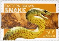 Eastern Brown Snake (Pseudonaja textilis) - Coil stamp