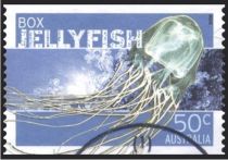 Box Jellyfish (Chironex fleckeri)