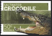 Saltwater Crocodile (Crocodylus porosus)