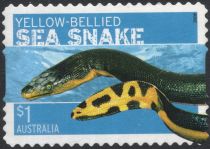 Yellow-bellied Sea Snake (Pelamis platurus)