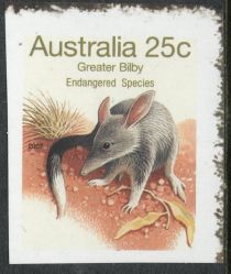 Greater Bilby (Macrotis lagotis)