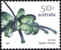 Green Spider Flower (Grevillea mucronulata)