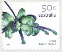 Green Spider Flower (Grevillea mucronulata)