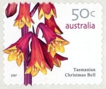 Tasmanian Christmas Bell (Blandfordia punicea)