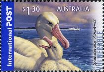 Wandering Albatross (Diomedea exulans)