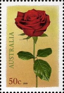 Red Rose 2008