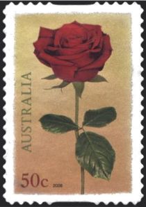 Red Rose 2008