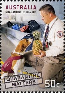 Quarantine