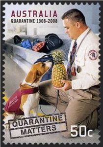 Quarantine