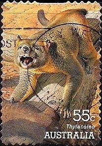 Marsupial Lion (Thylacoleo carnifex)