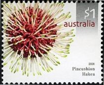 Pincushion Hakea (Hakea laurina)