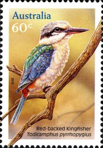 Red-backed Kingfisher (Todiramphus pyrrhopygius)