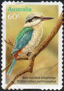 Red-backed Kingfisher (Todiramphus pyrrhopygius)