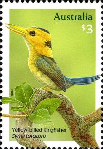 Yellow-billed Kingfisher (Syma torotoro)