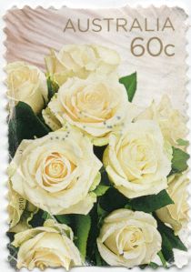 Cream Roses 2010