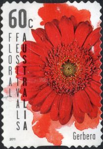 Floral Festival - Gerbera