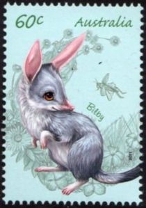 Greater Bilby (Macrotis lagotis)