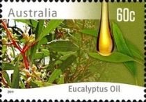 Eucalyptus Oil