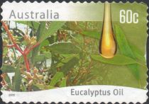 Eucalyptus Oil