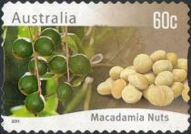 Macadamia Nuts