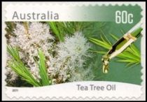 Tea Tree Oil