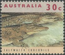 Saltwater Crocodile (Crocodylus porosus)