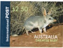 Greater Bilby (Macrotis lagotis)