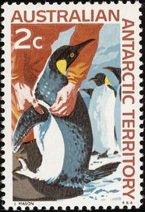 Tagging of the Emperor Penguin (Aptenodytes forsteri)