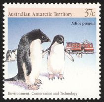 Adelie Penguins (Pygoscelis adeliae) and Tracked Vehicle