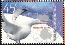 Snowy Albatross (Diomedea exulans), Macquarie Station