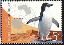 Adelie Penguin (Pygoscelis adeliae), Mawson Station