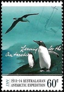 Black-browed Albatross and Gentoo Penguin