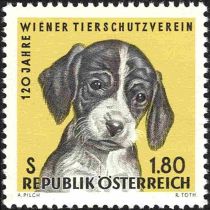 120th Anniversary of the Vienna Animal Protection Associatio