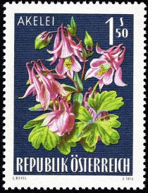 Columbine (Aquilegia vulgaris)