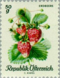 Strawberry (Fragaria ananassa)