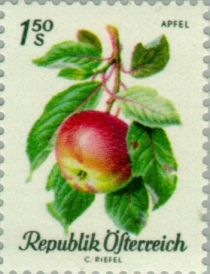 Apple (Malus sylvestris var. domestica)