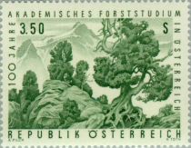 Centenary of Academic Forest Studies : Pinus cembra