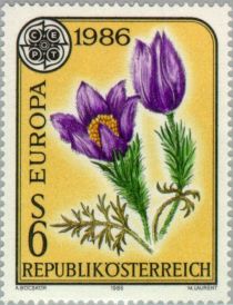 Greater Pasque Flower (Pulsatilla grandis)