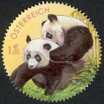 Giant Panda (Ailuropoda melanoleuca)