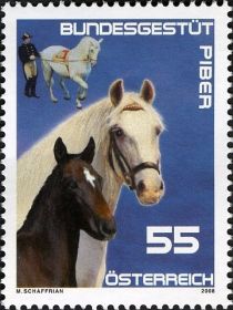 Federal Stud in Piber