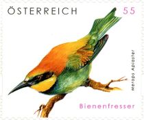 European Bee-eater (Merops apiaster)