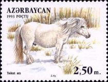 Yakutian Horse (Equus ferus caballus)