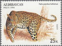 Anatolian Leopard (Felis pardus tullianus)