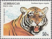 Caspian Tiger (Panthera tigris virgata)