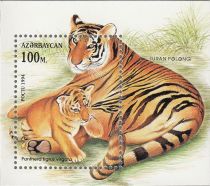 Caspian Tiger (Panthera tigris virgata) with Cub