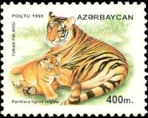 Caspian Tiger (Panthera tigris virgata)