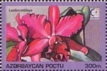 Laeliocattleya