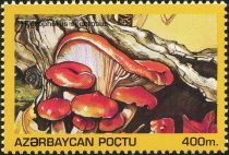 Hygrophorus spectosus