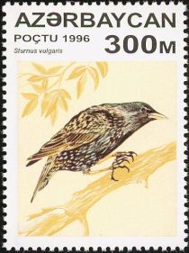 Starling (Sturnus vulgaris)